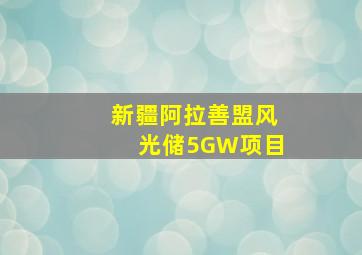 新疆阿拉善盟风光储5GW项目