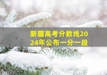 新疆高考分数线2024年公布一分一段