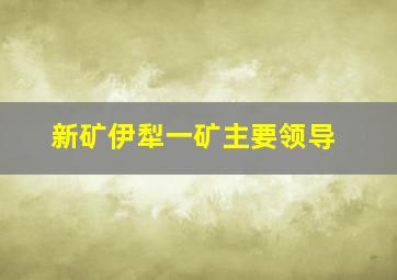 新矿伊犁一矿主要领导