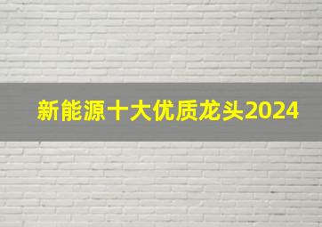 新能源十大优质龙头2024