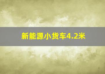 新能源小货车4.2米