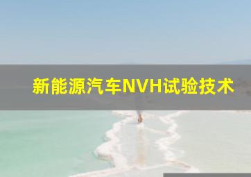 新能源汽车NVH试验技术