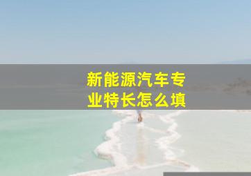 新能源汽车专业特长怎么填