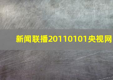 新闻联播20110101央视网