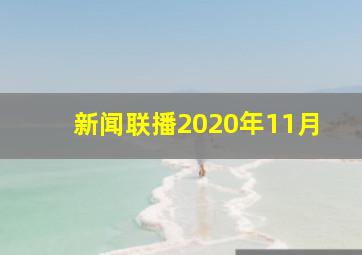 新闻联播2020年11月