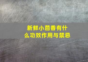 新鲜小茴香有什么功效作用与禁忌