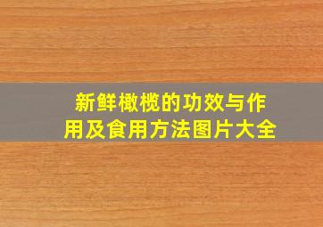 新鲜橄榄的功效与作用及食用方法图片大全