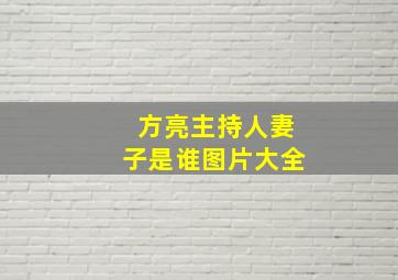 方亮主持人妻子是谁图片大全