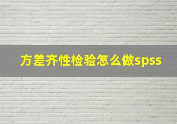 方差齐性检验怎么做spss