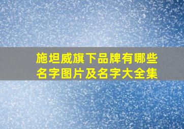 施坦威旗下品牌有哪些名字图片及名字大全集