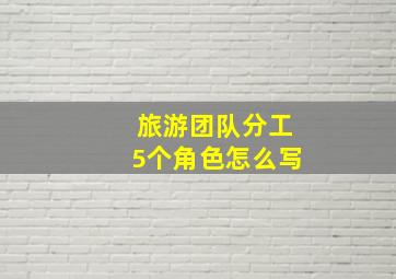 旅游团队分工5个角色怎么写