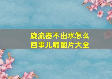 旋流器不出水怎么回事儿呢图片大全