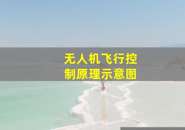 无人机飞行控制原理示意图