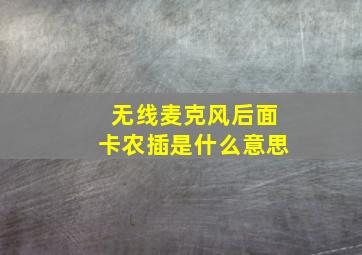 无线麦克风后面卡农插是什么意思