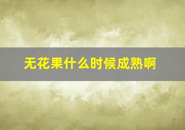 无花果什么时候成熟啊