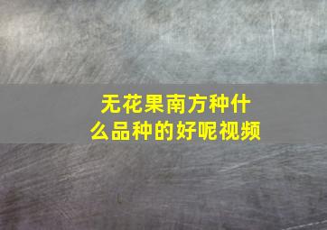 无花果南方种什么品种的好呢视频