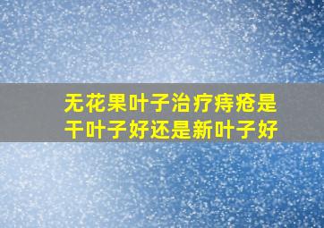 无花果叶子治疗痔疮是干叶子好还是新叶子好