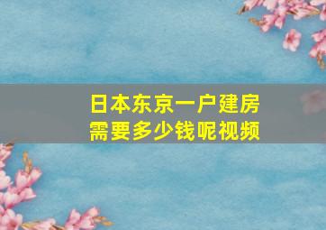 日本东京一户建房需要多少钱呢视频