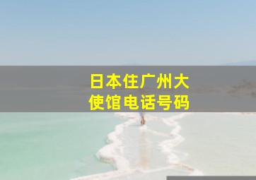 日本住广州大使馆电话号码