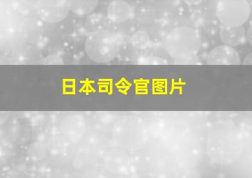 日本司令官图片