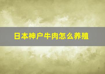 日本神户牛肉怎么养殖