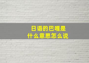 日语的巴嘎是什么意思怎么说