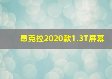 昂克拉2020款1.3T屏幕