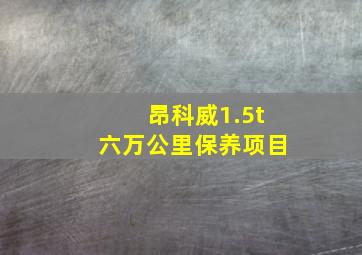 昂科威1.5t六万公里保养项目