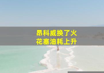 昂科威换了火花塞油耗上升