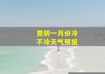 昆明一月份冷不冷天气预报