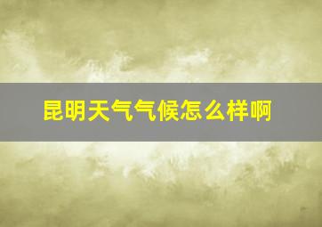 昆明天气气候怎么样啊