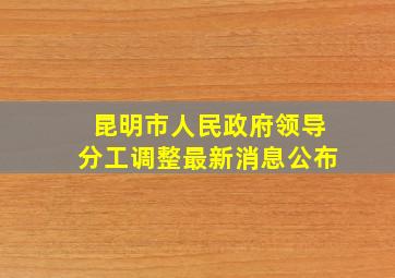 昆明市人民政府领导分工调整最新消息公布