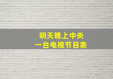 明天晚上中央一台电视节目表