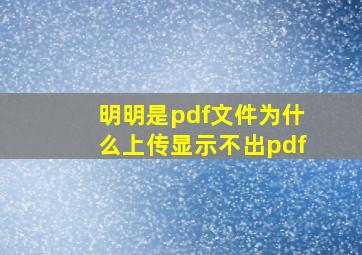 明明是pdf文件为什么上传显示不出pdf