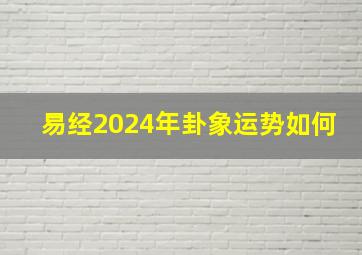 易经2024年卦象运势如何