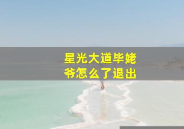 星光大道毕姥爷怎么了退出