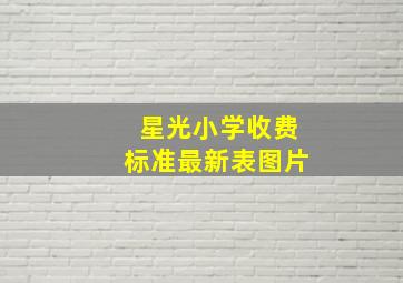 星光小学收费标准最新表图片