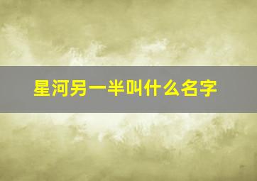 星河另一半叫什么名字