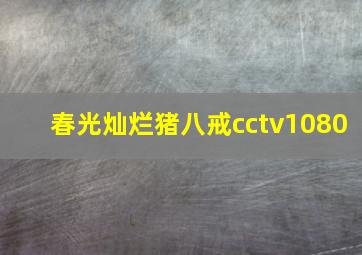 春光灿烂猪八戒cctv1080