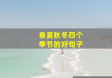 春夏秋冬四个季节的好句子