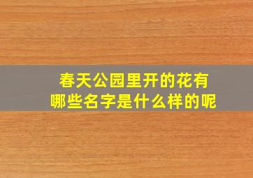 春天公园里开的花有哪些名字是什么样的呢