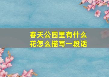 春天公园里有什么花怎么描写一段话