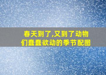 春天到了,又到了动物们蠢蠢欲动的季节配图