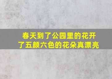 春天到了公园里的花开了五颜六色的花朵真漂亮