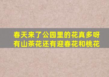 春天来了公园里的花真多呀有山茶花还有迎春花和桃花