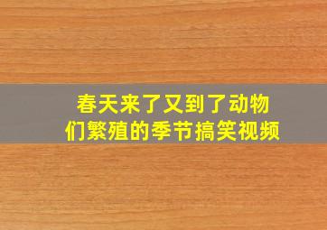 春天来了又到了动物们繁殖的季节搞笑视频