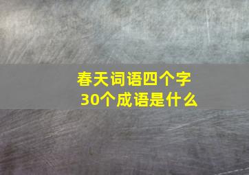 春天词语四个字30个成语是什么