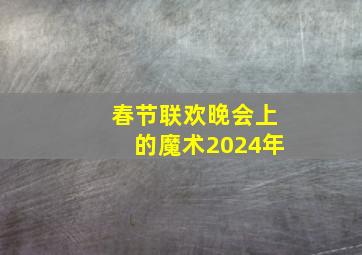 春节联欢晚会上的魔术2024年