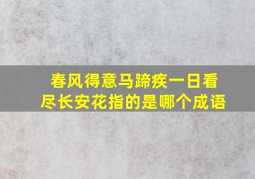 春风得意马蹄疾一日看尽长安花指的是哪个成语