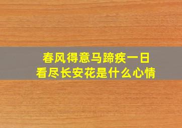 春风得意马蹄疾一日看尽长安花是什么心情